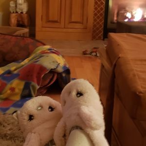 Meet your Posher, Allison